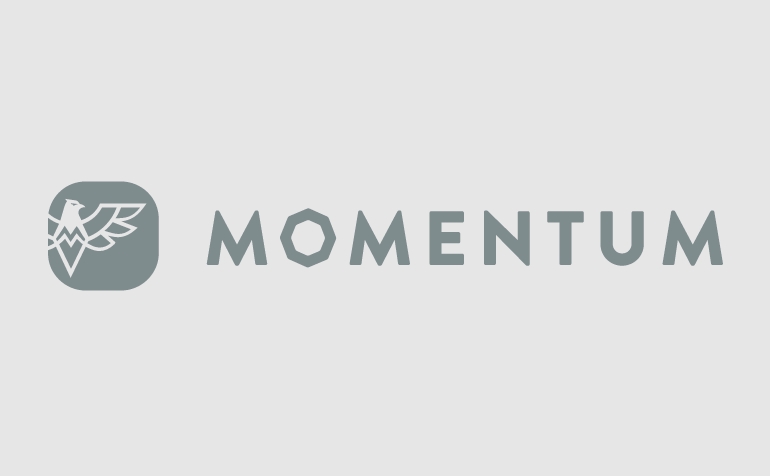 Momentum IoT