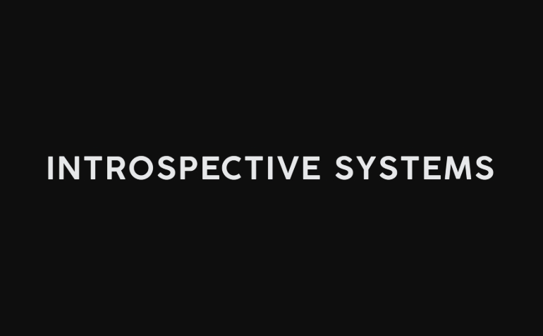 introspective systems