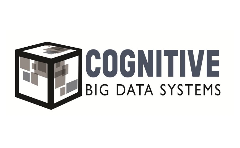 Cognitive Big Data Systems