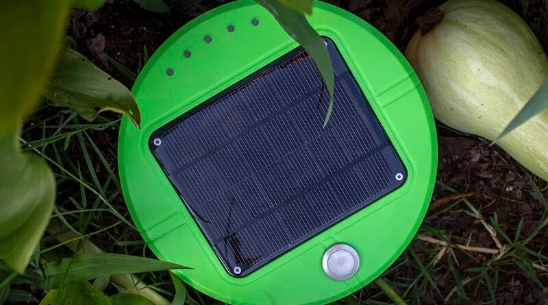 Tertill Is a Roomba That Weeds Your Garden