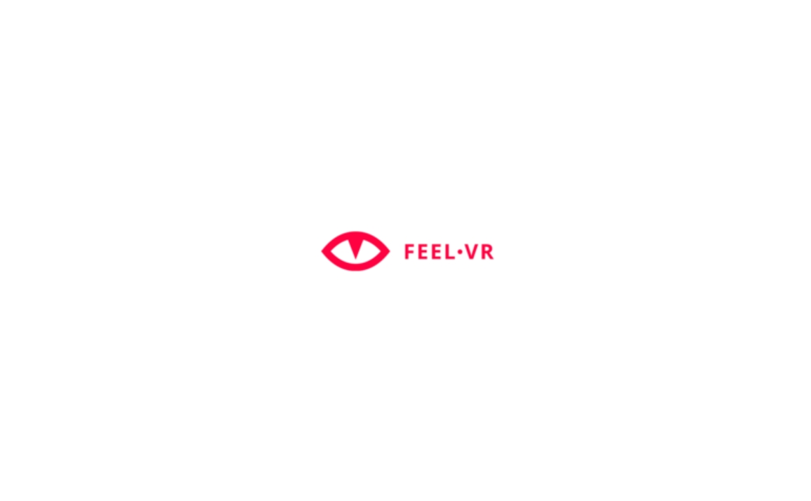 Feel VR
