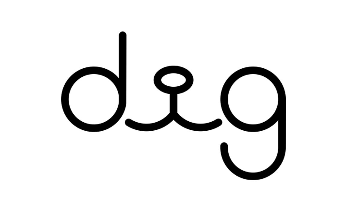 Dig