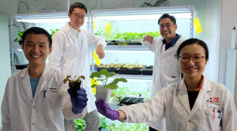 Singaporean Scientists Develop Device to 'Communicate' With Plants Using Electrical Signals