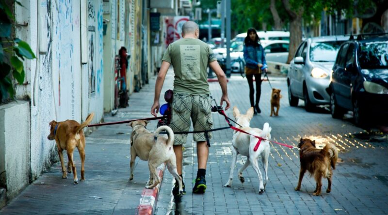Tel Aviv Will Test Dog Poop DNA to Fine Owners Who Don’t Clean Up