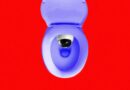 Scientists Working on Toilet That Identifies You by Your Butthole