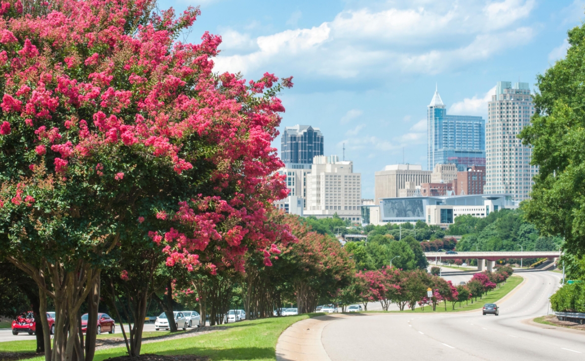 raleigh, north carolina