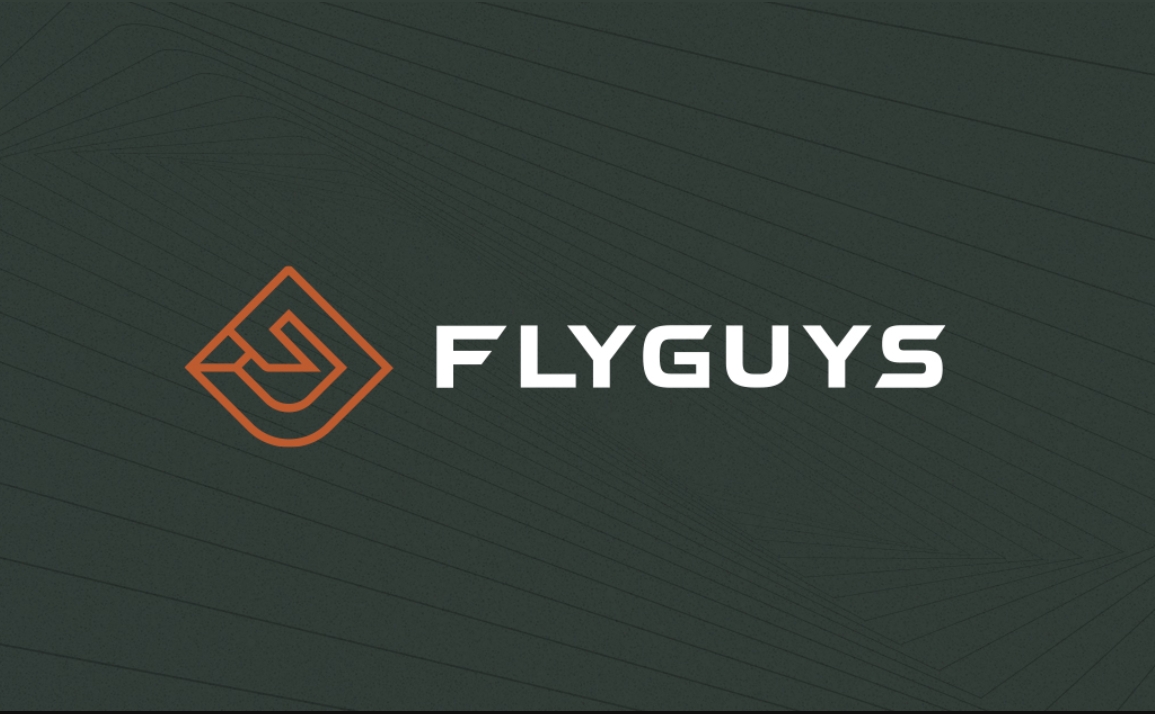 FlyGuys
