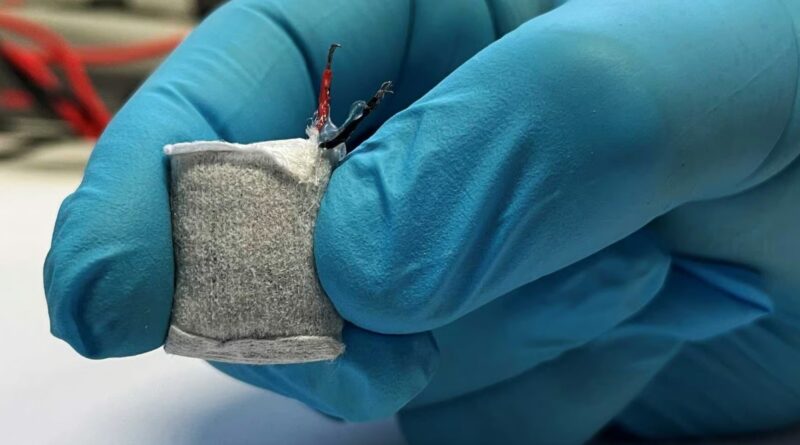 Sugar-Powered Implant Manages Type 1 Diabetes