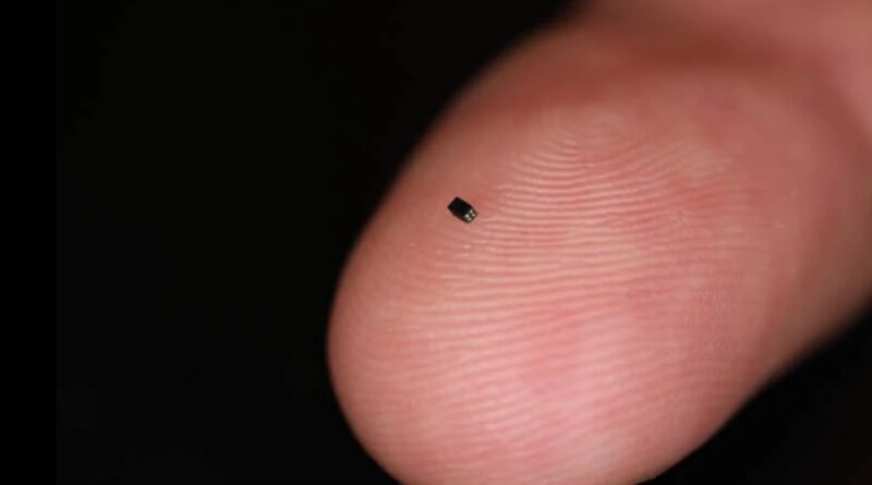 The World’s Smallest Commercially Available Camera Is the Size of a Grain of Salt