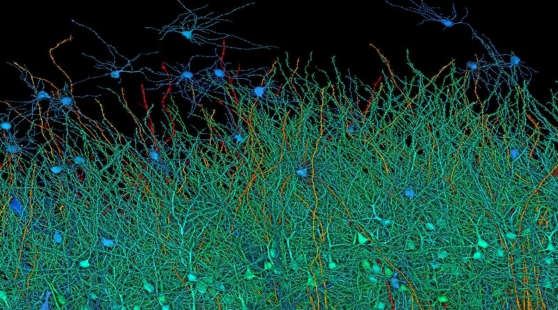 1 Millimeter of Brain Tissue Took 1.4 Petabytes of Data