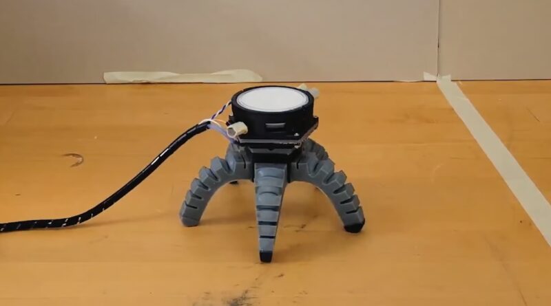 "Biohybrid" Robots Allow Fungus to Walk