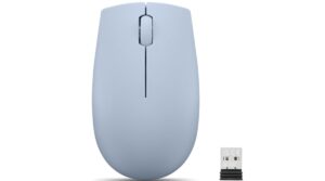 Lenovo 300 Wireless Mouse – Computer Mouse for PC, Laptop with Windows – Ambidextrous Design – 2.4 GHz Nano USB Receiver – 12 Month Battery Life