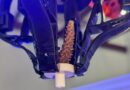 Damaged Reefs Getting Repairs Using Robotic Hands