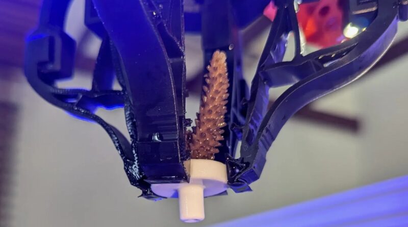 Damaged Reefs Getting Repairs Using Robotic Hands