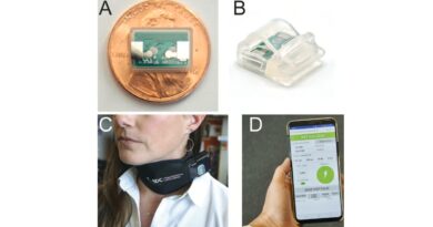 Researchers Eliminate PTSD Using Nerve Stimulation