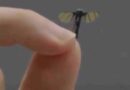 Lab Creates Mosquito Microdrone for Stealth Ops