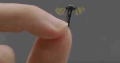 Lab Creates Mosquito Microdrone for Stealth Ops